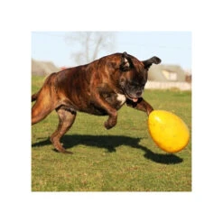 Jolly Egg -Trixie Store product jolly egg none 4 1496839893 86965