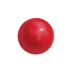 KONG Ball -Trixie Store product kong ball none 4 1466058813 69918