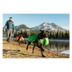 Ruffwear Approach Pack 23 Ruffwear Approach Pack -Trixie Store product ruffwear approach pack none 4 1489677652 84736