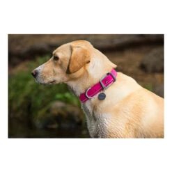 Ruffwear Headwater Collar -Trixie Store product ruffwear headwater collar none 4 1487775433 83755