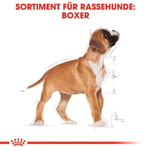 Royal Canin Boxer Puppy - Hundefutter 6 Royal Canin Boxer Puppy - Hundefutter – Bild 4