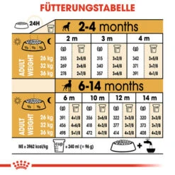 Royal Canin Boxer Puppy - Hundefutter 16 Royal Canin Boxer Puppy - Hundefutter -Trixie Store royal canin boxer puppy hondenvoer 137500 0500 none