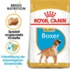 Royal Canin Boxer Puppy - Hundefutter 2 Royal Canin Boxer Puppy - Hundefutter -Trixie Store royal canin boxer puppy hondenvoer 140465 0500 none