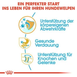 Royal Canin Bulldog Puppy - Hundefutter -Trixie Store royal canin bulldog puppy hondenvoer 137803 0500 none