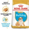 Royal Canin Bulldog Puppy - Hundefutter -Trixie Store royal canin bulldog puppy hondenvoer 137848 0500 none