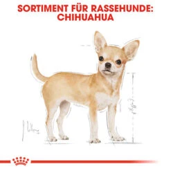 Royal Canin Chihuahua Adult - Hundefutter -Trixie Store royal canin chihuahua adult hondenvoer 137968 0500 none