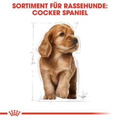 Royal Canin Cocker Puppy - Hundefutter -Trixie Store royal canin cocker puppy hondenvoer 138226 0500 none