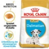 Royal Canin Dalmatian Puppy - Hundefutter 1 Royal Canin Dalmatian Puppy - Hundefutter -Trixie Store royal canin dalmatian puppy hondenvoer 140534 0500 none