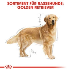 Royal Canin Golden Retriever Adult - Hundefutter -Trixie Store royal canin golden retriever adult hondenvoer 138871 0500 none