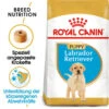 Royal Canin Labrador Retriever Puppy - Hundefutter -Trixie Store royal canin labrador retriever puppy hondenvoer 140618 0500 none