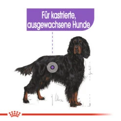 Royal Canin Maxi Sterilised - Hundefutter 13 Royal Canin Maxi Sterilised - Hundefutter -Trixie Store royal canin maxi sterilised hondenvoer 132662 0500 none