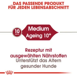 Royal Canin Medium Ageing 10+ - Hundefutter 13 Royal Canin Medium Ageing 10+ - Hundefutter -Trixie Store royal canin medium ageing 10 hondenvoer 128810 0500 none