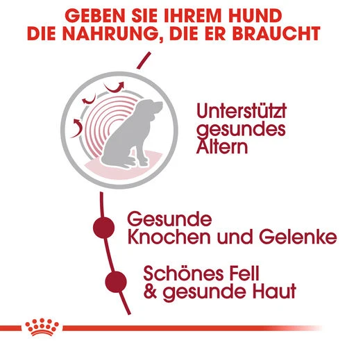 Royal Canin Medium Ageing 10+ - Hundefutter 5 Royal Canin Medium Ageing 10+ - Hundefutter – Bild 3