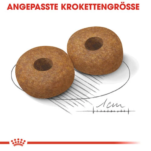 Royal Canin Medium Ageing 10+ - Hundefutter 7 Royal Canin Medium Ageing 10+ - Hundefutter – Bild 5