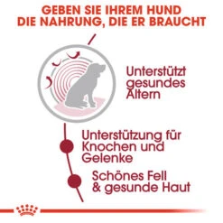 Royal Canin Medium Ageing 10+ Wet - Hundefutter -Trixie Store royal canin medium ageing 10 wet hondenvoer 129197 0500 none