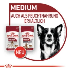 Royal Canin Medium Ageing 10+ Wet - Hundefutter -Trixie Store royal canin medium ageing 10 wet hondenvoer 129239 0500 none