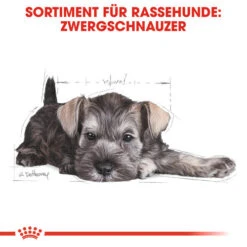 Royal Canin Mini Schnauzer Puppy - Hundefutter -Trixie Store royal canin mini schnauzer puppy hondenvoer 140182 0500 none