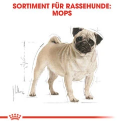 Royal Canin Pug Adult - Hundefutter -Trixie Store royal canin pug adult hondenvoer 139798 0500 none