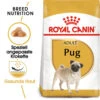 Royal Canin Pug Adult - Hundefutter 2 Royal Canin Pug Adult - Hundefutter -Trixie Store royal canin pug adult hondenvoer 139849 0500 none