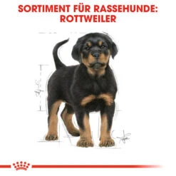 Royal Canin Rottweiler Puppy - Hundefutter 13 Royal Canin Rottweiler Puppy - Hundefutter -Trixie Store royal canin rottweiler puppy hondenvoer 140029 0500 none