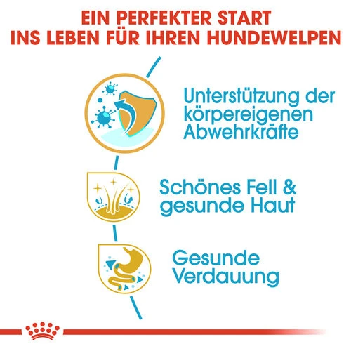 Royal Canin Shih Tzu Puppy - Hundefutter 4 Royal Canin Shih Tzu Puppy - Hundefutter – Bild 2