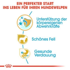 Royal Canin Yorkshire Terrier Puppy - Hundefutter 11 Royal Canin Yorkshire Terrier Puppy - Hundefutter -Trixie Store royal canin yorkshire terrier puppy hondenvoer 140795 0500 none