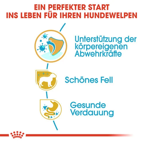 Royal Canin Yorkshire Terrier Puppy - Hundefutter 4 Royal Canin Yorkshire Terrier Puppy - Hundefutter – Bild 2