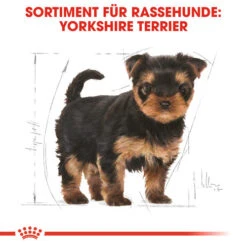 Royal Canin Yorkshire Terrier Puppy - Hundefutter 13 Royal Canin Yorkshire Terrier Puppy - Hundefutter -Trixie Store royal canin yorkshire terrier puppy hondenvoer 140804 0500 none
