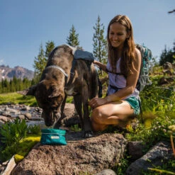 Ruffwear Flat Out Dog Collar - Alpenglow Burst -Trixie Store ruffwear flat out dog collar alpenglow burst 204812 0500 none