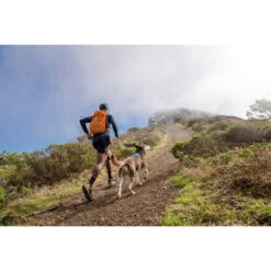 Ruffwear Hi & Light Harness -Trixie Store ruffwear hi light harness 196016 0500 none