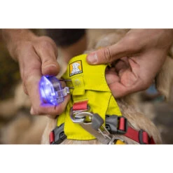 Ruffwear Hi & Light Harness -Trixie Store ruffwear hi light harness 196031 0500 none