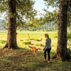 Ruffwear Knot-a-Hitch -Trixie Store ruffwear knot a hitch 124643 0500 none