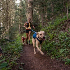 Ruffwear Roamer Leash - Blue Atoll -Trixie Store ruffwear roamer leash blue atoll 204797 0500 none