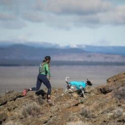 Ruffwear Wind Sprinter Jacket -Trixie Store ruffwear wind sprinter jacket 124694 0500 none