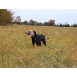 RukkaPets Protect Overall -Trixie Store rukkapets protect overall zwart 216401 0500 none