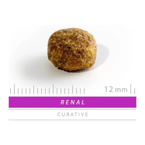 SANIMED Renal/Liver/Stones Dog 5 SANIMED Renal/Liver/Stones Dog – Bild 3