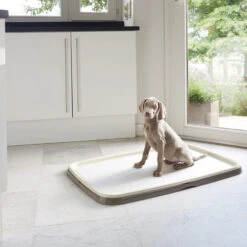 Savic Puppy Trainer + Pads -Trixie Store savic puppy trainer pads 163498 0500 none