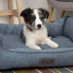 Scruffs Manhattan Box Bett -Trixie Store scruffs manhattan box bed 209507 0500 none