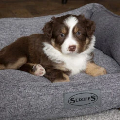 Scruffs Manhattan Box Bett -Trixie Store scruffs manhattan box bed 209513 0500 none