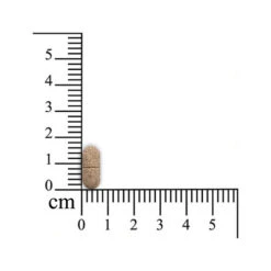 Sensipharm Inconti Stop Hund 7 Sensipharm Inconti Stop Hund -Trixie Store sensipharm inconti stop hond 174532 0500 none