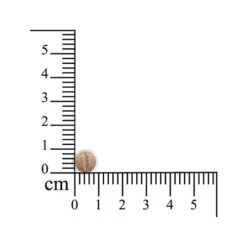 Sensipharm Sneeze Aid Katze 7 Sensipharm Sneeze Aid Katze -Trixie Store sensipharm sneeze aid kat 174685 0500 none