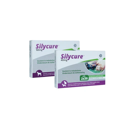 Silycure 3 Silycure