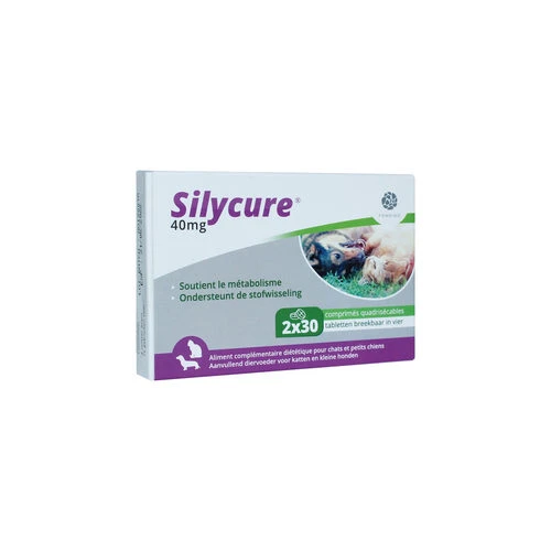 Silycure 4 Silycure – Bild 2