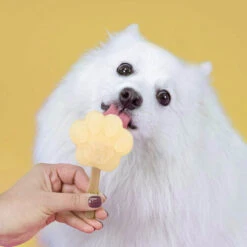 Smoofl Hundeeis Starter Kit -Trixie Store smoofl dog ice starter kit 195155 0500 none