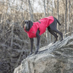 Trixie Regenjacke Vimy 19 Trixie Regenjacke Vimy -Trixie Store trixie regenjas vimy 204854 0500 none