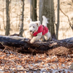 Trixie Regenjacke Vimy 16 Trixie Regenjacke Vimy -Trixie Store trixie regenjas vimy 204857 0500 none