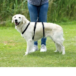 Trixie Stay Sicherheitsgeschirr -Trixie Store trixie stay hondentuig 95231 0500 none