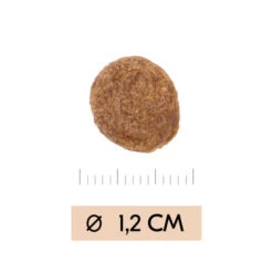 Vetality Gastrointestinal - Hundefutter -Trixie Store vetality gastrointestinal hondenvoer 195449 0500 none