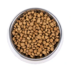 Vetality Metabolic & Mobility - Hundefutter -Trixie Store vetality metabolic mobility hondenvoer 195275 0500 none