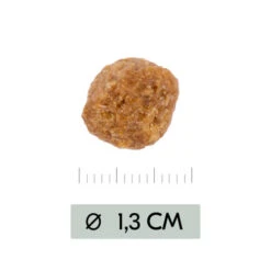 Vetality Metabolic & Mobility - Hundefutter -Trixie Store vetality metabolic mobility hondenvoer 195470 0500 none